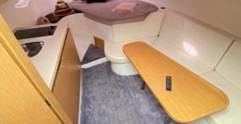 PHANTOM 375 (22)